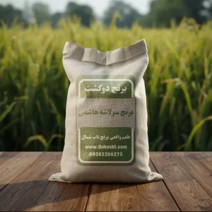 برنج سرلاشه هاشمی