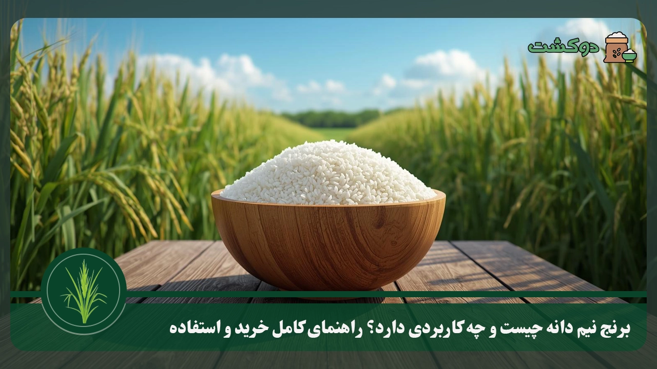 برنج نیم دانه چیست و چه کاربردی دارد