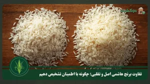 تفاوت برنج هاشمی اصل و تقلبی