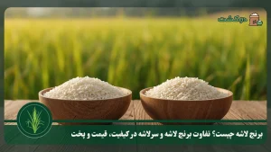 تفاوت برنج لاشه و سرلاشه