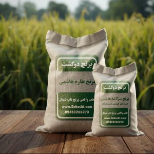 بسته یک کیلویی تست برنج طارم هاشمی