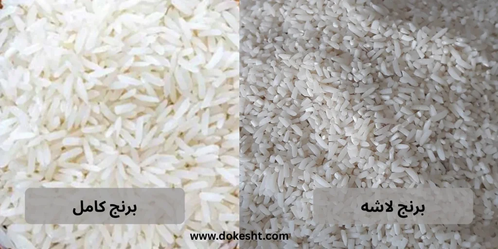 تفاوت برنج لاشه و کامل از نظر شکل و کیفیت دانه